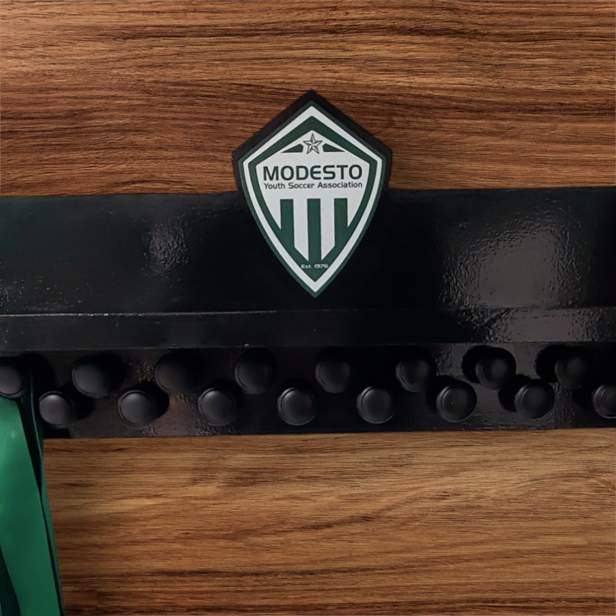 Soccer- MYSA Medal Holder